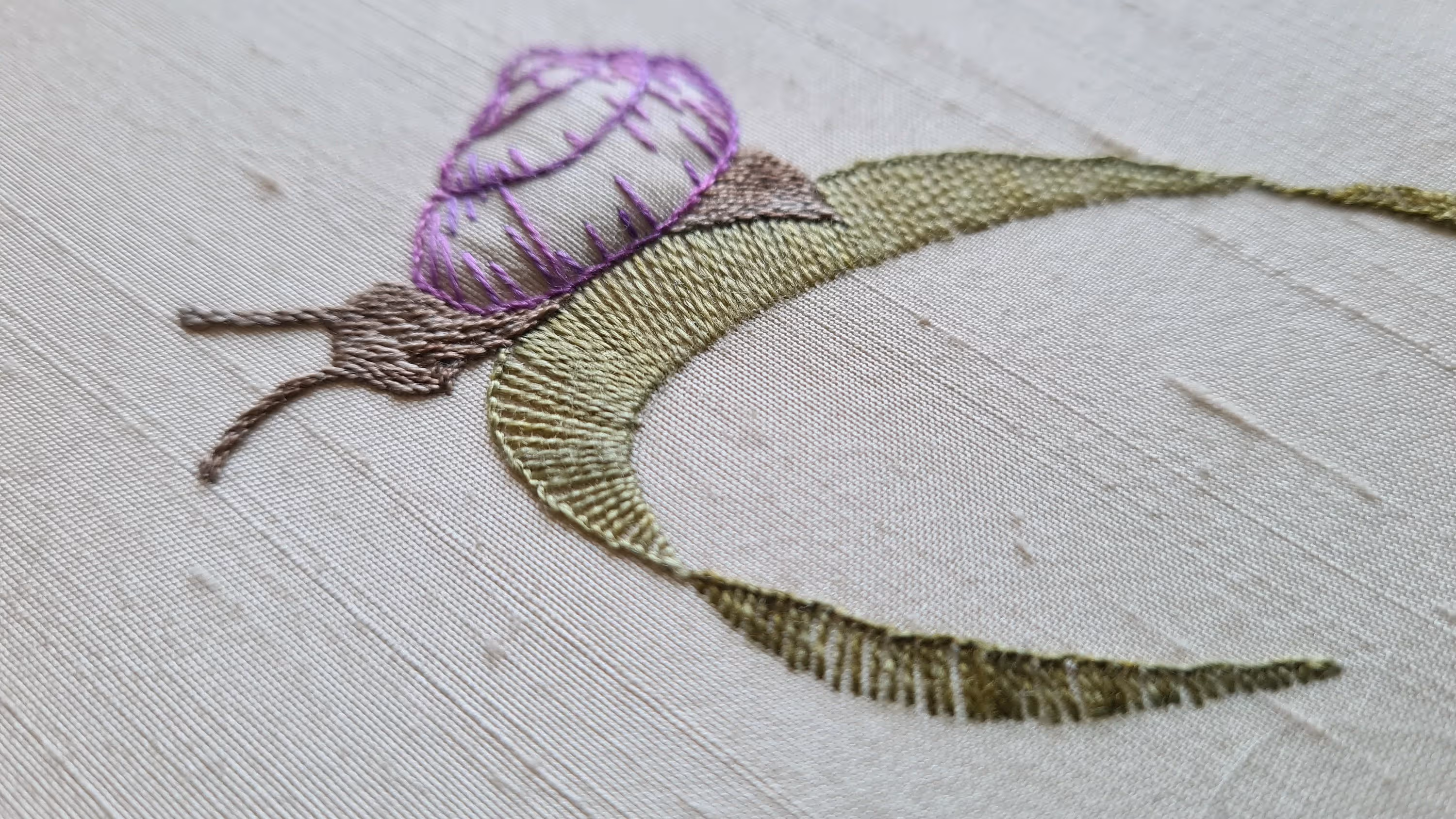 Baby Dragon at the Bottom of the Garden - view 9