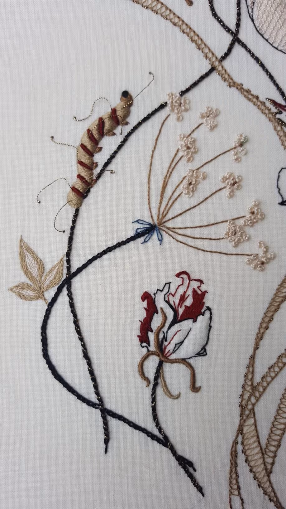 Beetle Escape - view 2