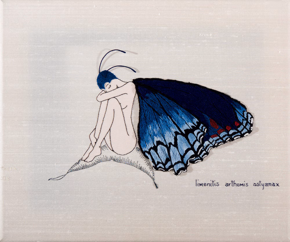 Limenitis Butterfly Girl